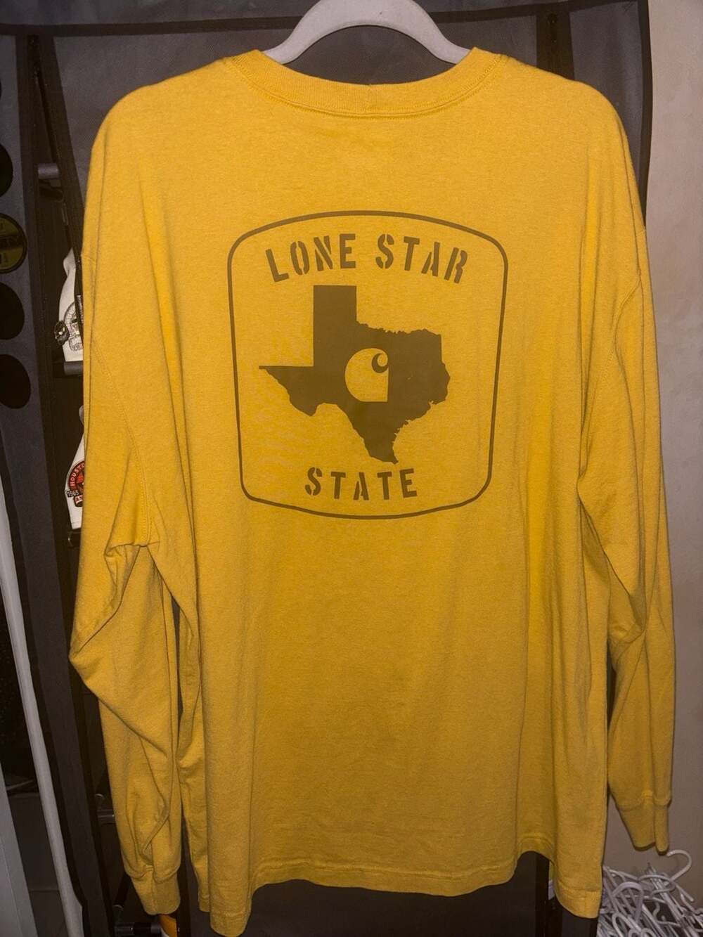 Carhartt Loose Fit Texas Lone Star State Graphic Long Sleeve T-Shirt